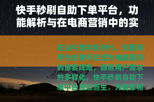快手秒刷自助下单平台，功能解析与在电商营销中的实际应用价值