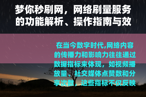 梦你秒刷网，网络刷量服务的功能解析、操作指南与效果评估