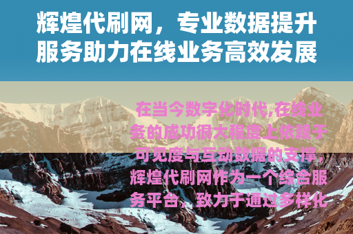 辉煌代刷网，专业数据提升服务助力在线业务高效发展