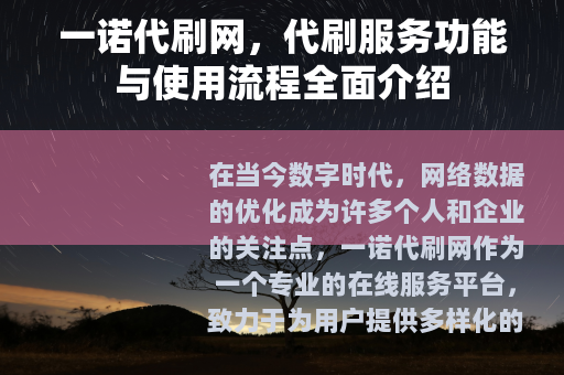 一诺代刷网，代刷服务功能与使用流程全面介绍