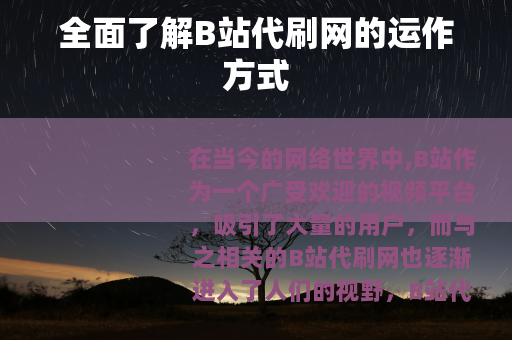 全面了解B站代刷网的运作方式