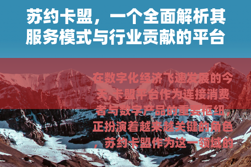苏约卡盟，一个全面解析其服务模式与行业贡献的平台介绍