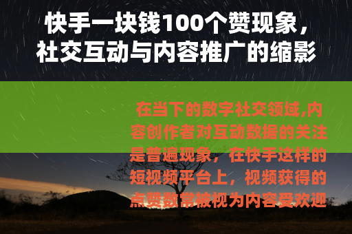 快手一块钱100个赞现象，社交互动与内容推广的缩影
