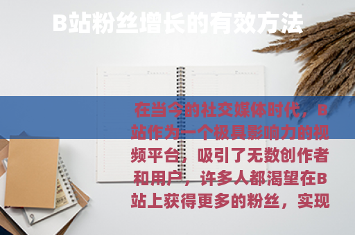 B站粉丝增长的有效方法