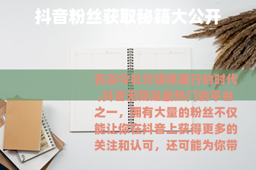 抖音粉丝获取秘籍大公开