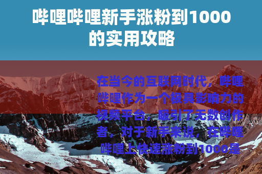 哔哩哔哩新手涨粉到1000的实用攻略