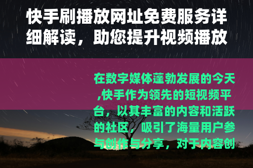 快手刷播放网址免费服务详细解读，助您提升视频播放效率