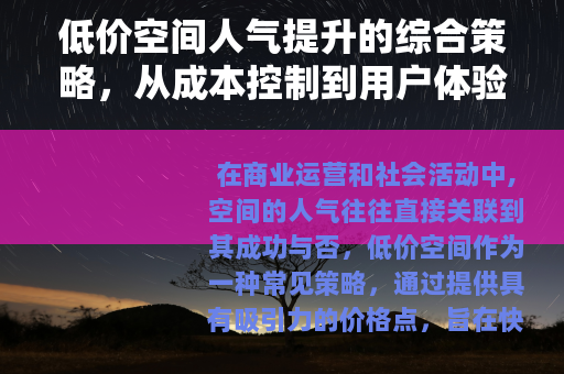 低价空间人气提升的综合策略，从成本控制到用户体验的全面优化