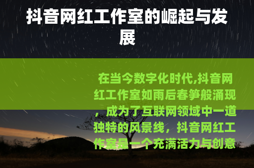 抖音网红工作室的崛起与发展