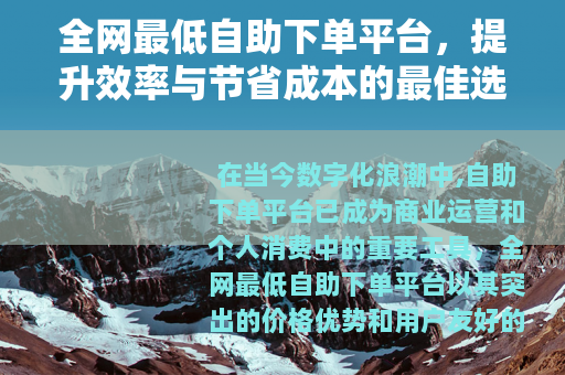 全网最低自助下单平台，提升效率与节省成本的最佳选择