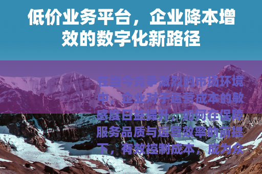 低价业务平台，企业降本增效的数字化新路径