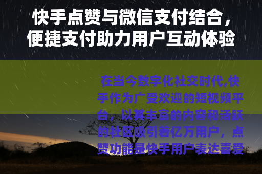 快手点赞与微信支付结合，便捷支付助力用户互动体验优化