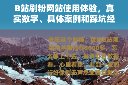 B站刷粉网站使用体验，真实数字、具体案例和踩坑经历全记录