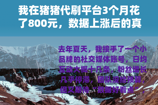 我在猪猪代刷平台3个月花了800元，数据上涨后的真实空白
