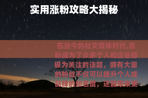 实用涨粉攻略大揭秘