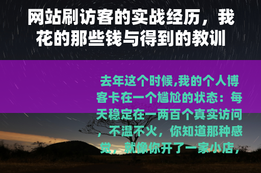 网站刷访客的实战经历，我花的那些钱与得到的教训