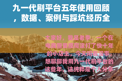 九一代刷平台五年使用回顾，数据、案例与踩坑经历全分享