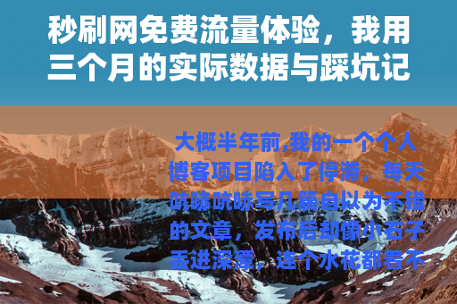 秒刷网免费流量体验，我用三个月的实际数据与踩坑记录