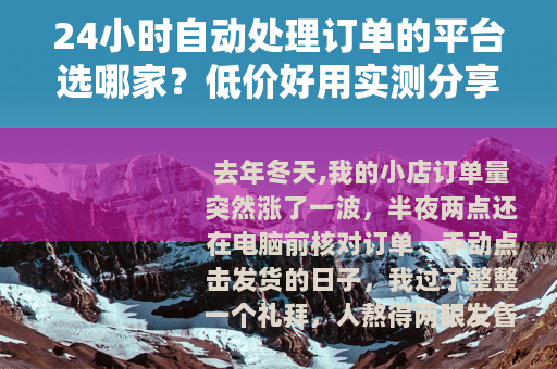 24小时自动处理订单的平台选哪家？低价好用实测分享