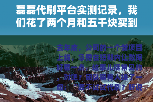 磊磊代刷平台实测记录，我们花了两个月和五千块买到的经验