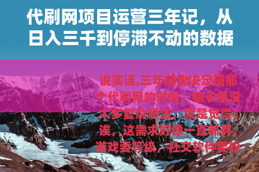 代刷网项目运营三年记，从日入三千到停滞不动的数据实录