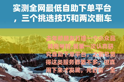 实测全网最低自助下单平台，三个挑选技巧和两次翻车记录