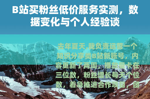 B站买粉丝低价服务实测，数据变化与个人经验谈