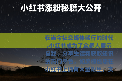 小红书涨粉秘籍大公开