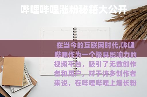 哔哩哔哩涨粉秘籍大公开