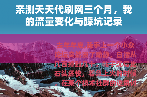 亲测天天代刷网三个月，我的流量变化与踩坑记录