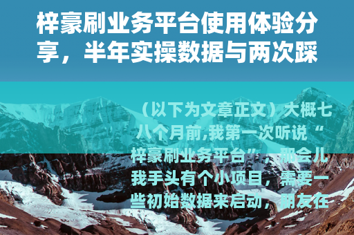 梓豪刷业务平台使用体验分享，半年实操数据与两次踩坑记录