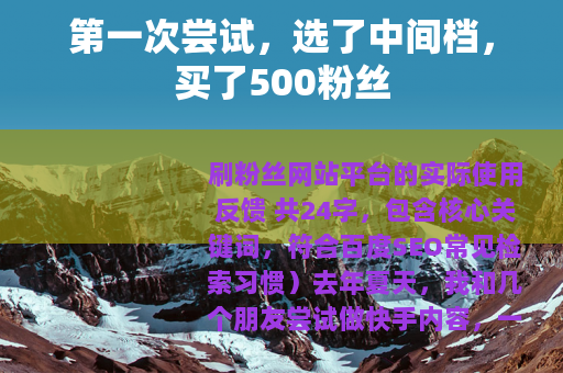 第一次尝试，选了中间档，买了500粉丝