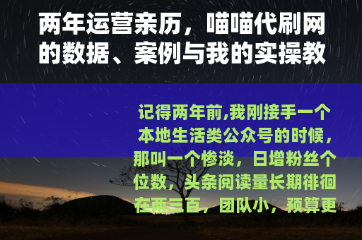 两年运营亲历，喵喵代刷网的数据、案例与我的实操教训