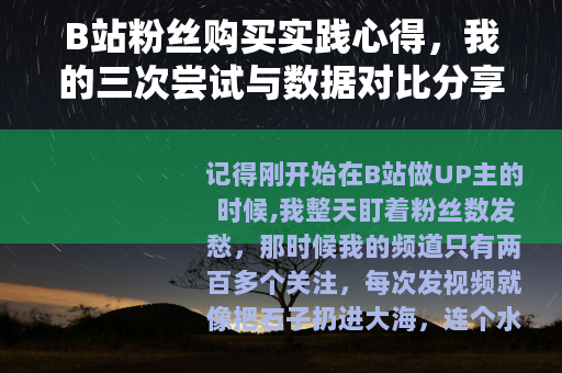 B站粉丝购买实践心得，我的三次尝试与数据对比分享