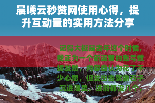 晨曦云秒赞网使用心得，提升互动量的实用方法分享