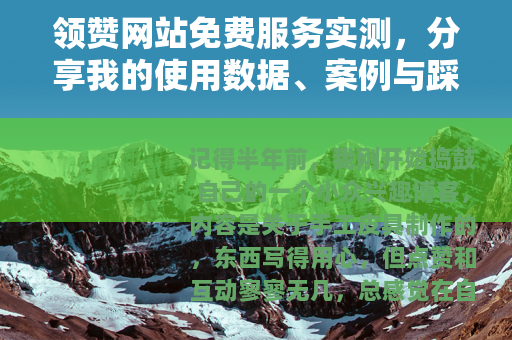 领赞网站免费服务实测，分享我的使用数据、案例与踩坑经验