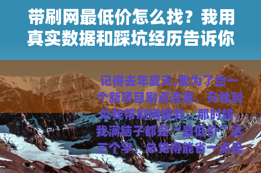 带刷网最低价怎么找？我用真实数据和踩坑经历告诉你