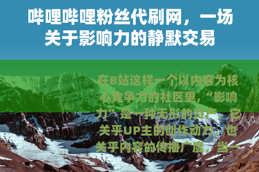 哔哩哔哩粉丝代刷网，一场关于影响力的静默交易