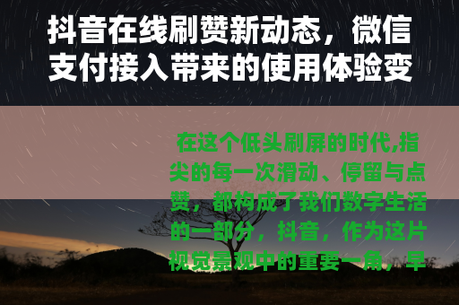 抖音在线刷赞新动态，微信支付接入带来的使用体验变化