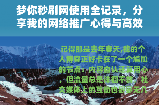 梦你秒刷网使用全记录，分享我的网络推广心得与高效实操技巧
