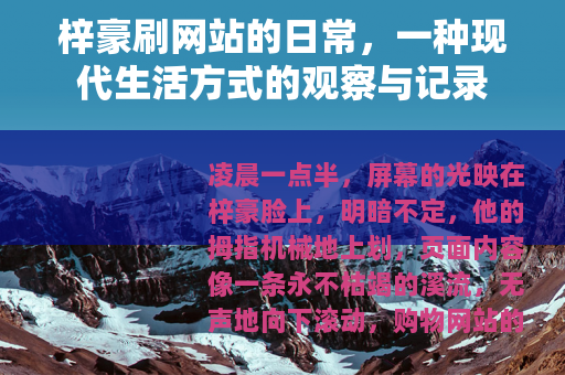 梓豪刷网站的日常，一种现代生活方式的观察与记录