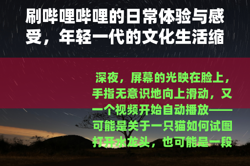 刷哔哩哔哩的日常体验与感受，年轻一代的文化生活缩影