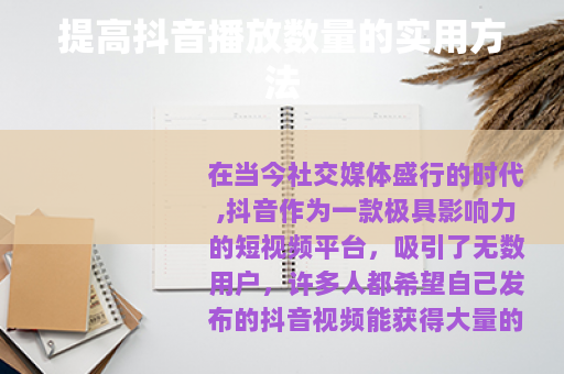 提高抖音播放数量的实用方法