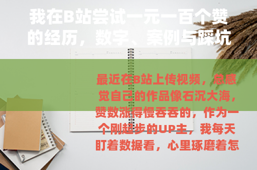 我在B站尝试一元一百个赞的经历，数字、案例与踩坑分享