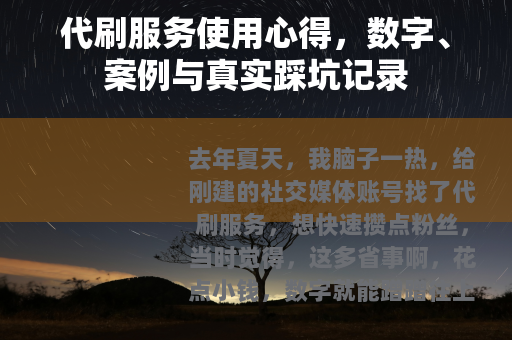 代刷服务使用心得，数字、案例与真实踩坑记录