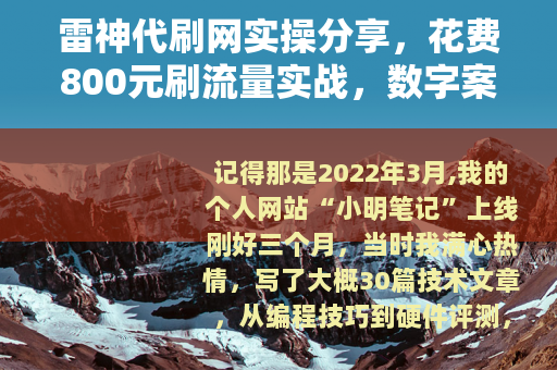 雷神代刷网实操分享，花费800元刷流量实战，数字案例踩坑全记录