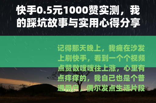 快手0.5元1000赞实测，我的踩坑故事与实用心得分享