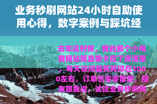 业务秒刷网站24小时自助使用心得，数字案例与踩坑经历