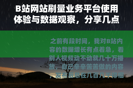 B站网站刷量业务平台使用体验与数据观察，分享几点实际操作心得