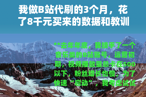 我做B站代刷的3个月，花了8千元买来的数据和教训
